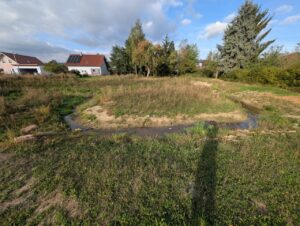Wälzebach - ehem. Löschteich, mäandrierender Bachlauf